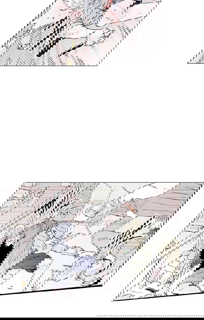 1730333382584kmoo91wvpif.jpg