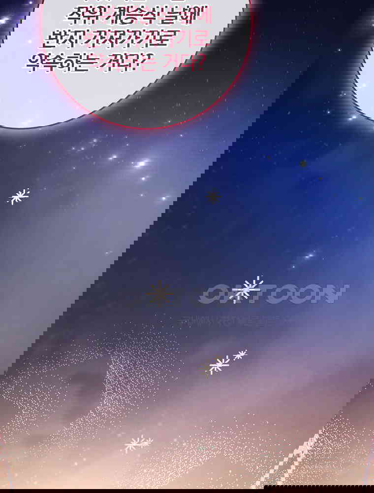17306585003449srm1fqtvfm.jpg