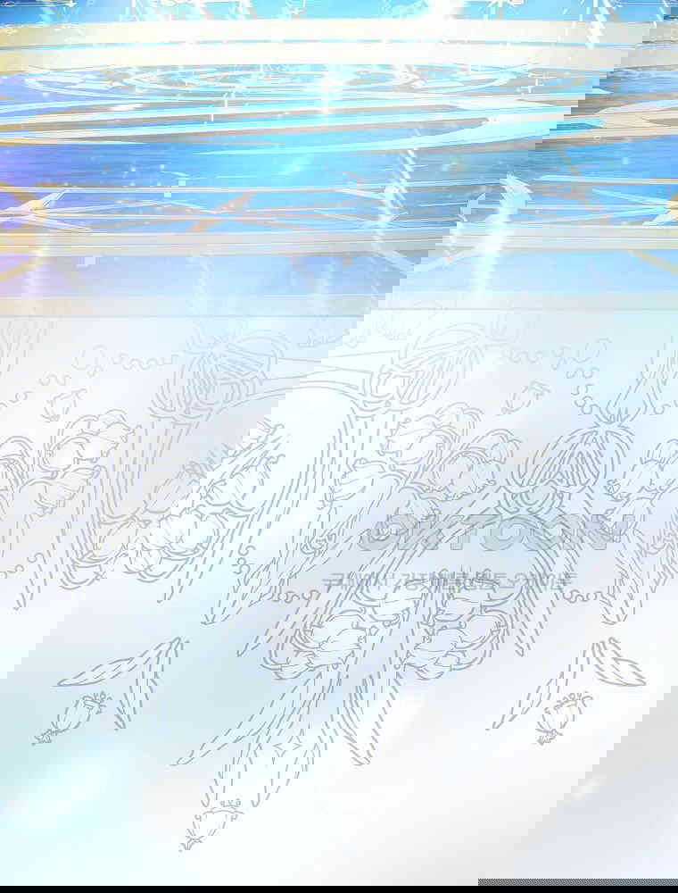 17306585081355v3pd3swlzx.jpg