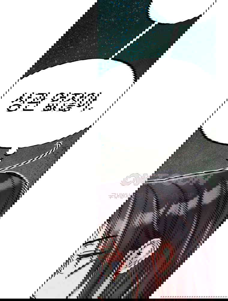 17310139550996oyda74x60b.jpg