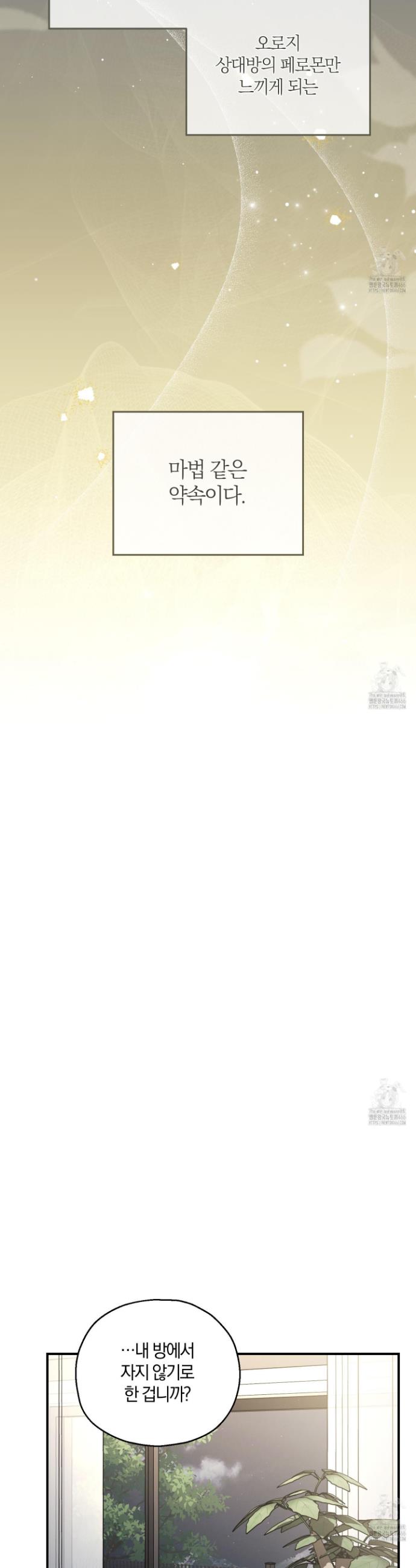 1736156869479c781m35gyye.jpg