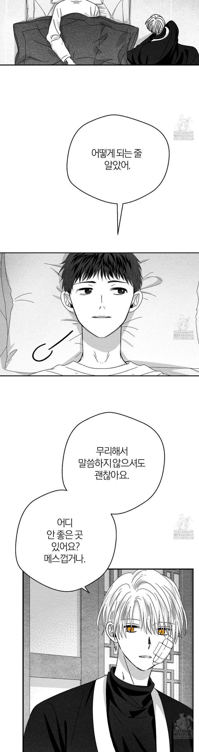 1741900952953md0gnxosmz.jpg