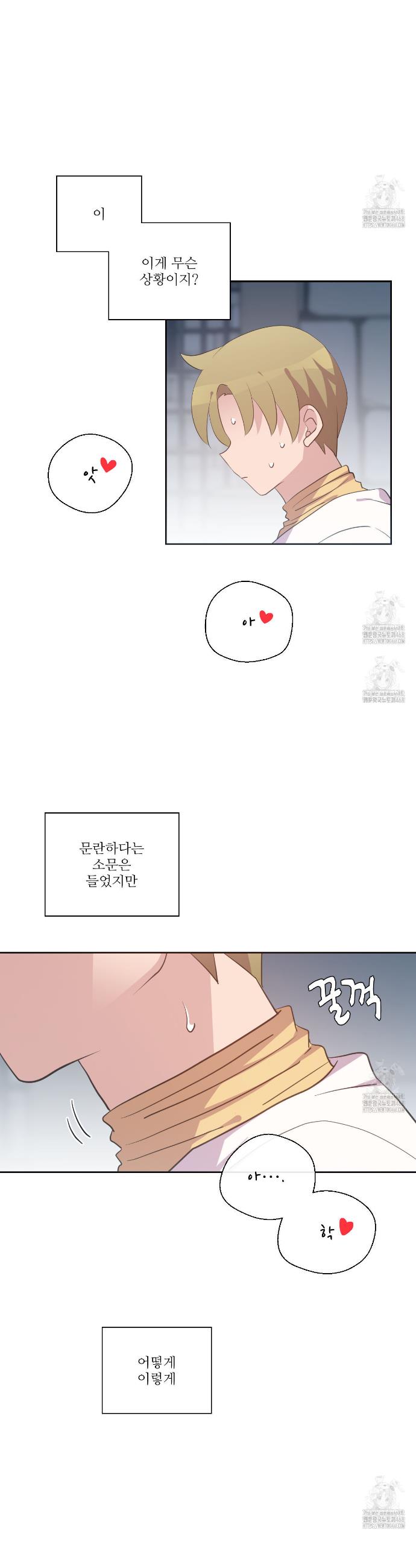 17413127587859amvc3kzk86.jpg
