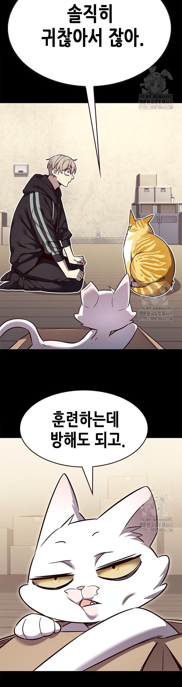 1745362086576gy3ok8ygsml.jpg