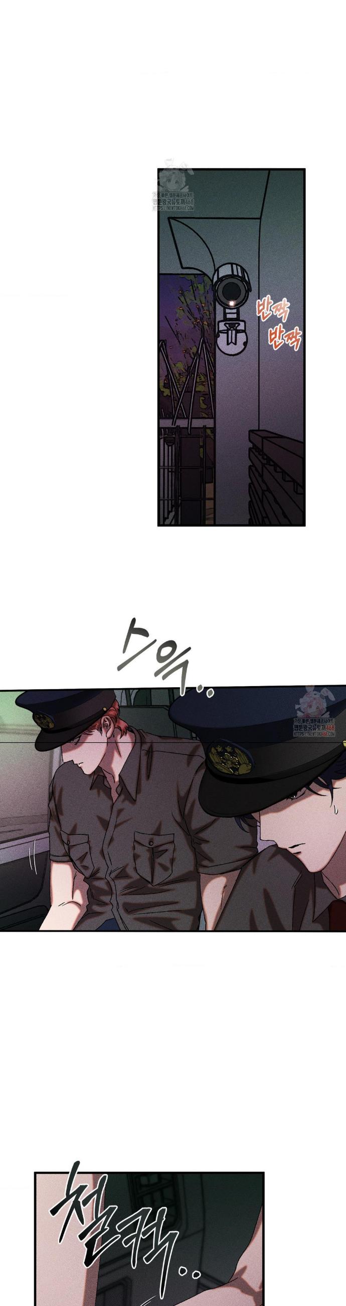 003.jpg