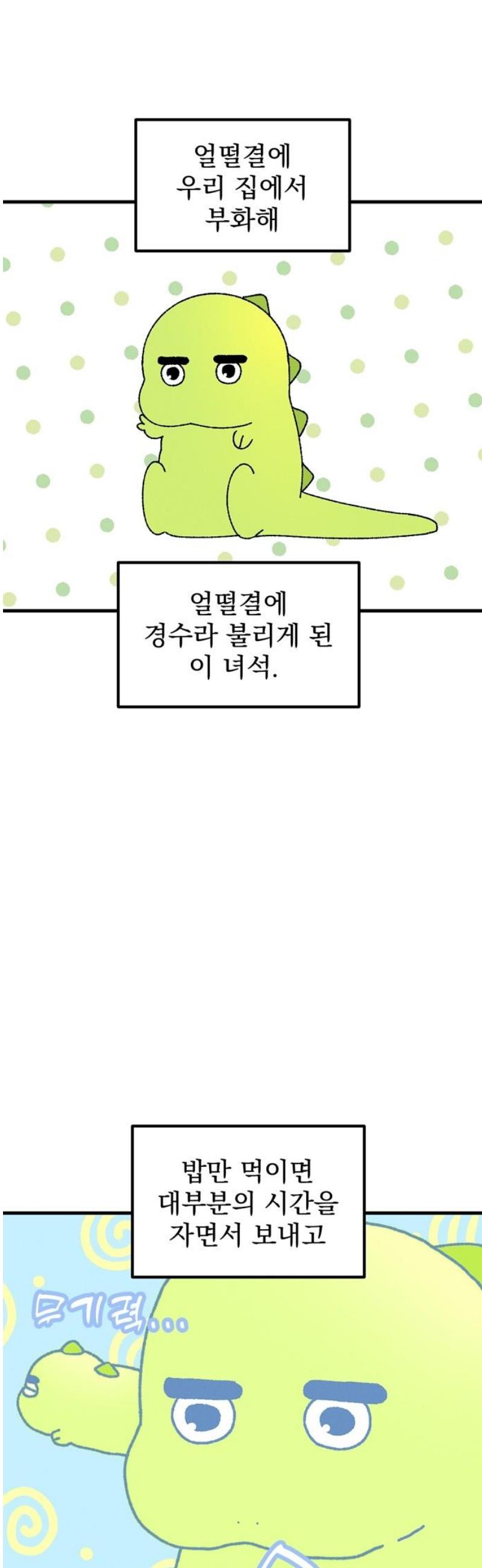 005.jpg